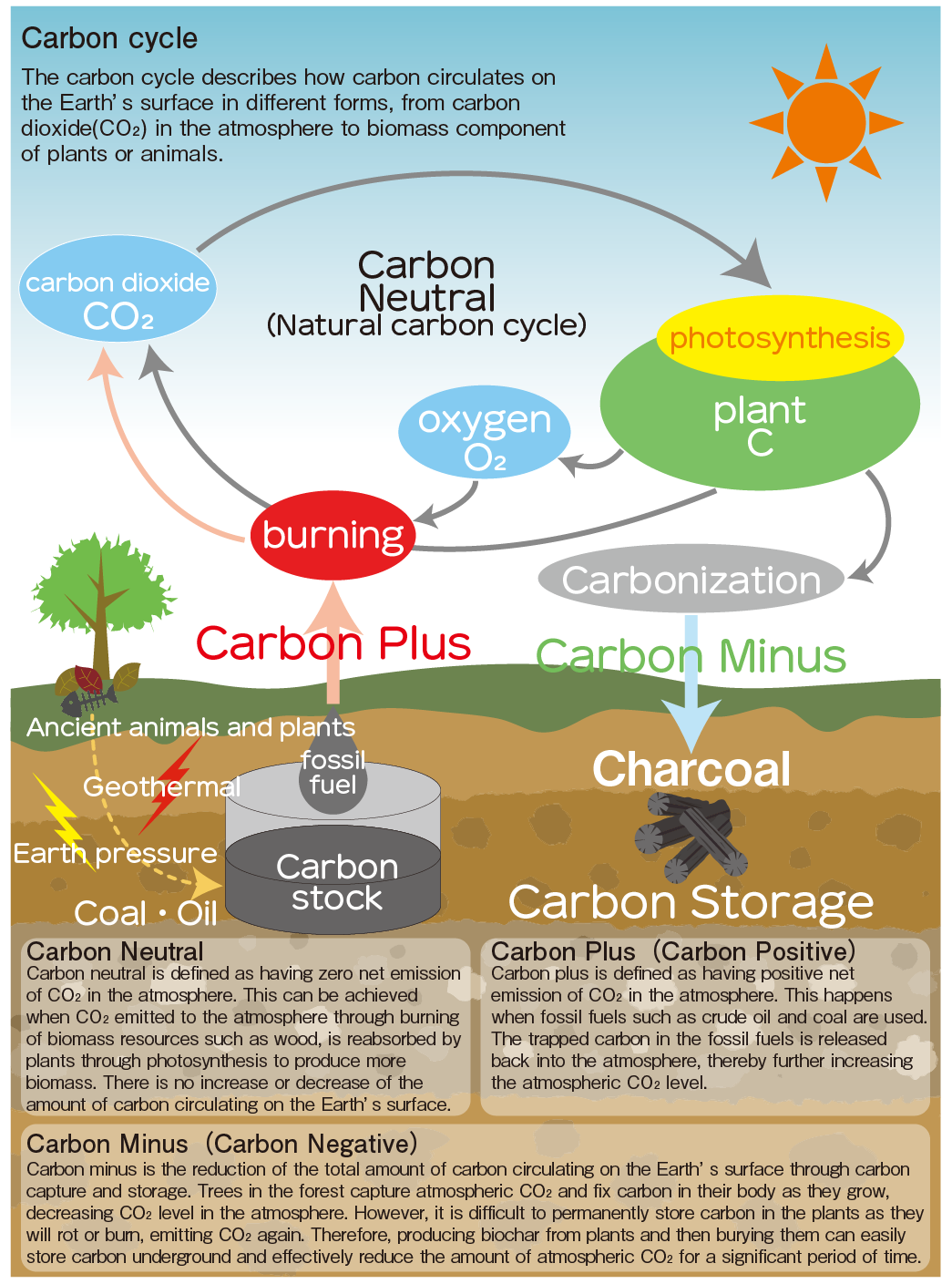 Carbon Cycle And Biochar – Japan Coolvege Associations